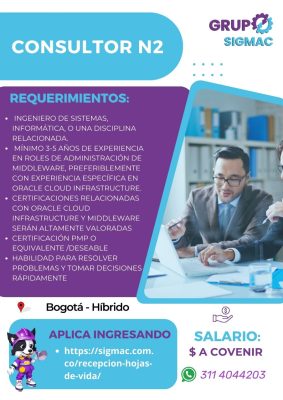 Vacante Consultor N2